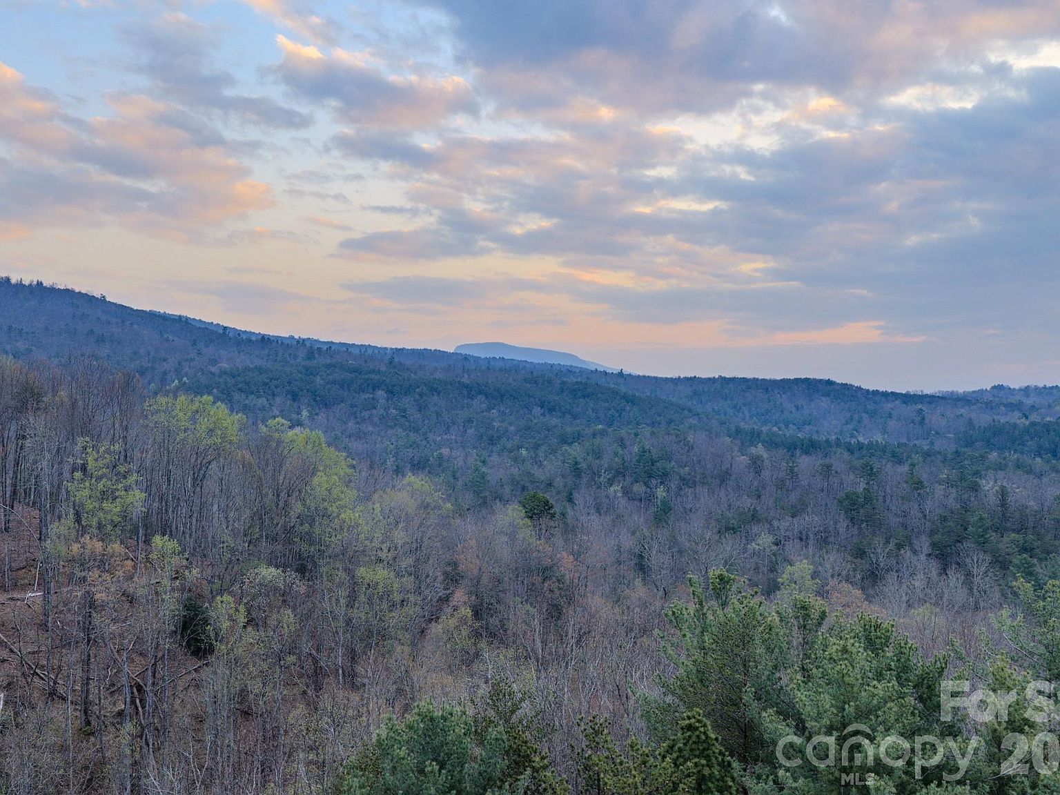 9147 Shortoff View Ter Nebo, NC 28761 - Thumbnail 3