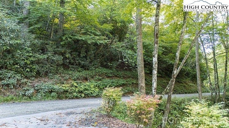 Clear Creek Dr Newland, NC 28657 - Thumbnail 3