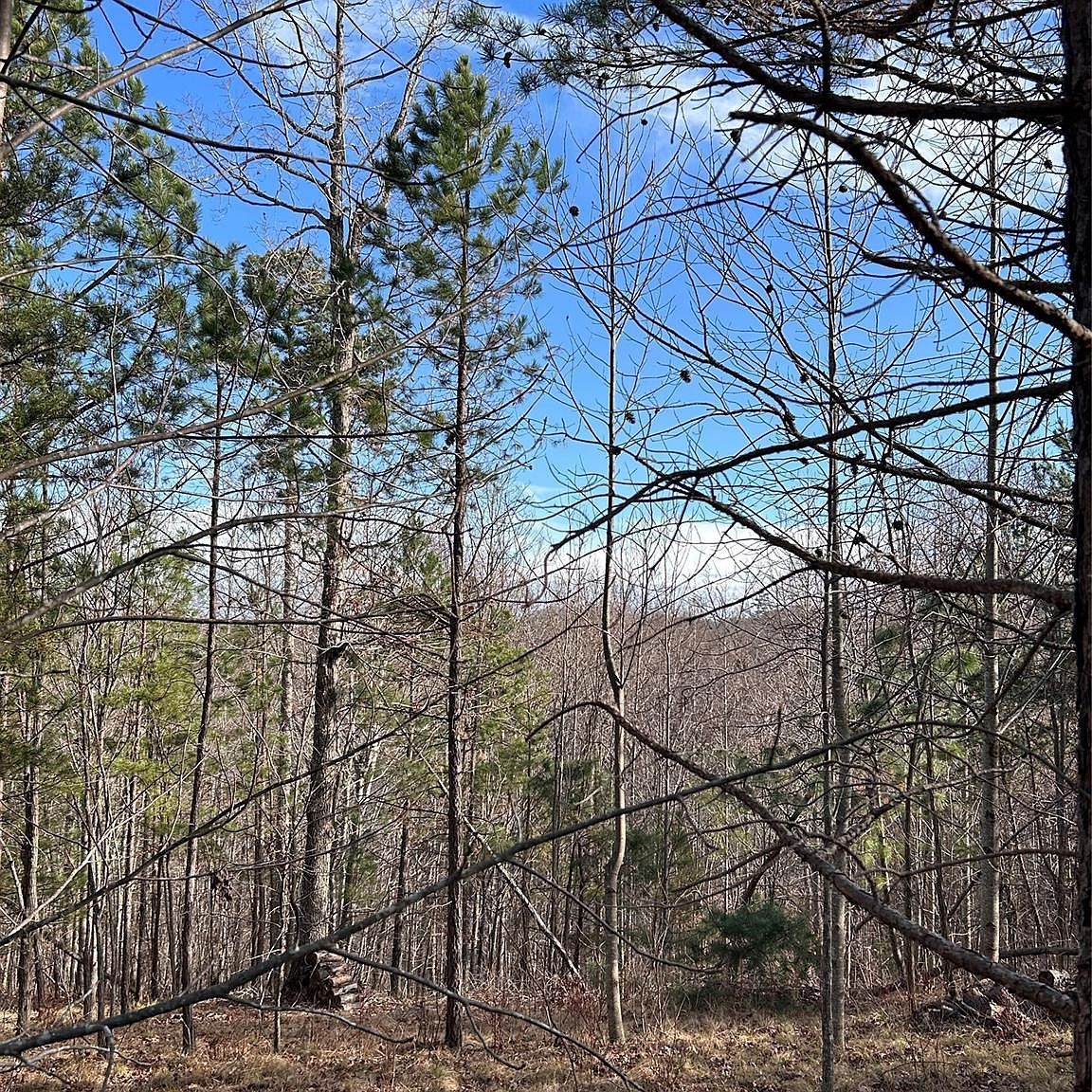 254 Stoney Creek Dr #224 Nebo, NC 28761 - Thumbnail 3