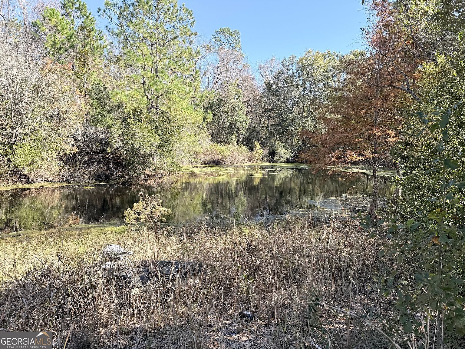 7438 Central Ave Waycross, GA 31503 - Thumbnail 3