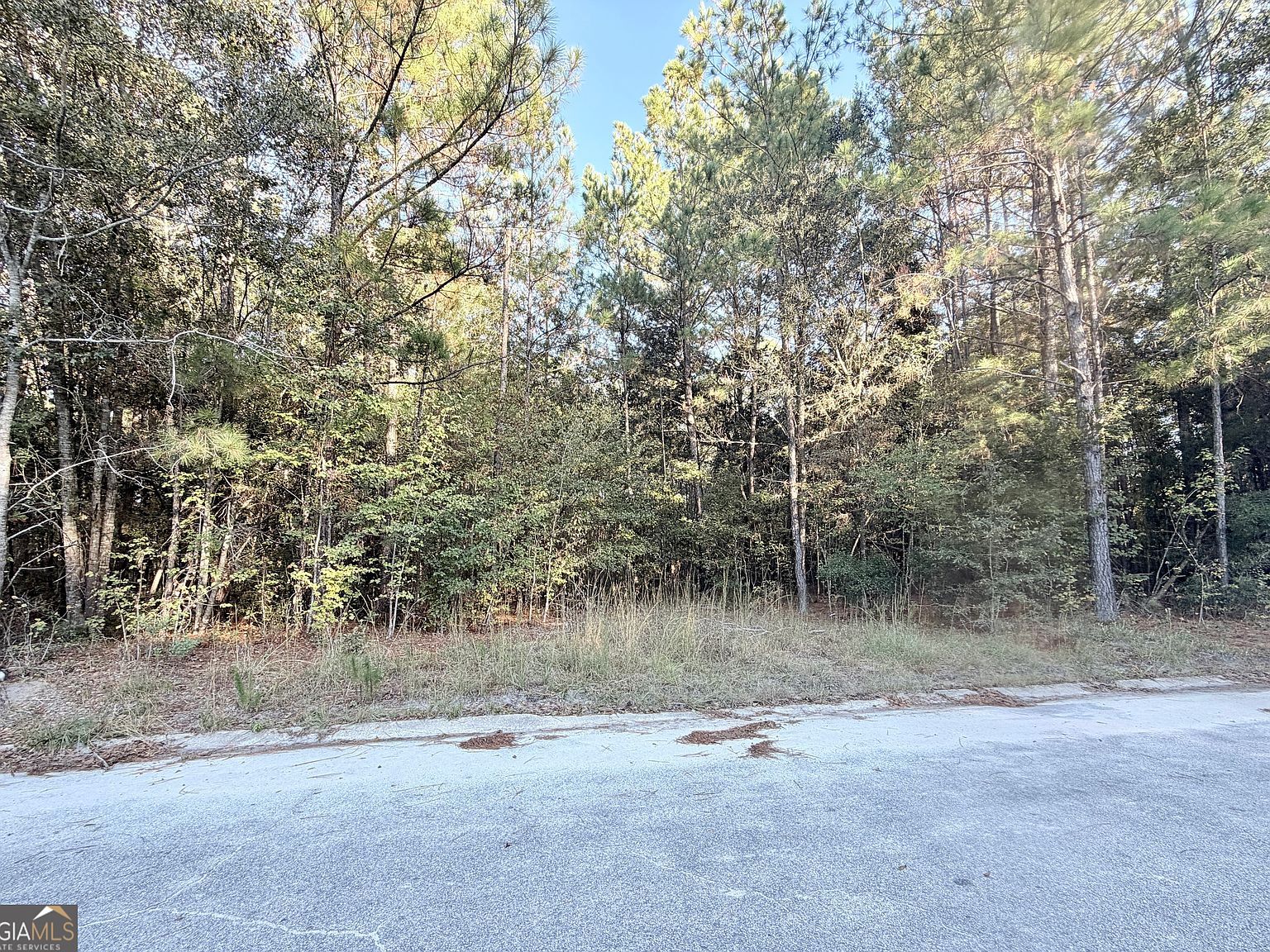 291 Sawdust Trl Waycross, GA 31503 - Thumbnail 3