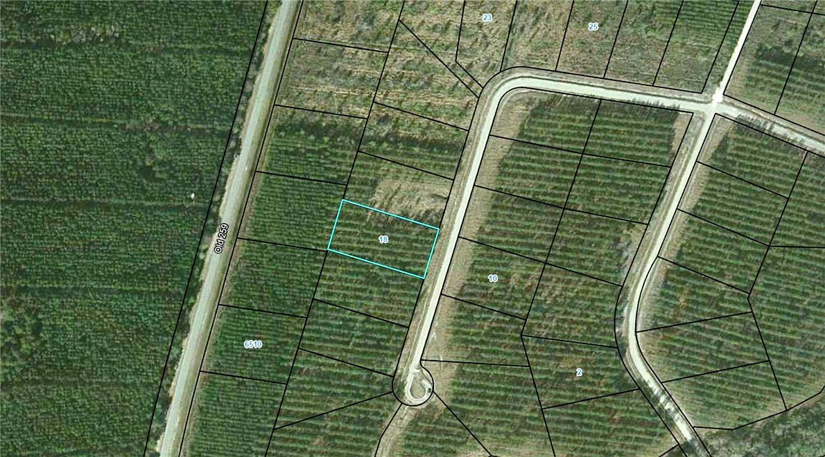 18 Satilla Plantation Waynesville, GA 31566 - Thumbnail 3