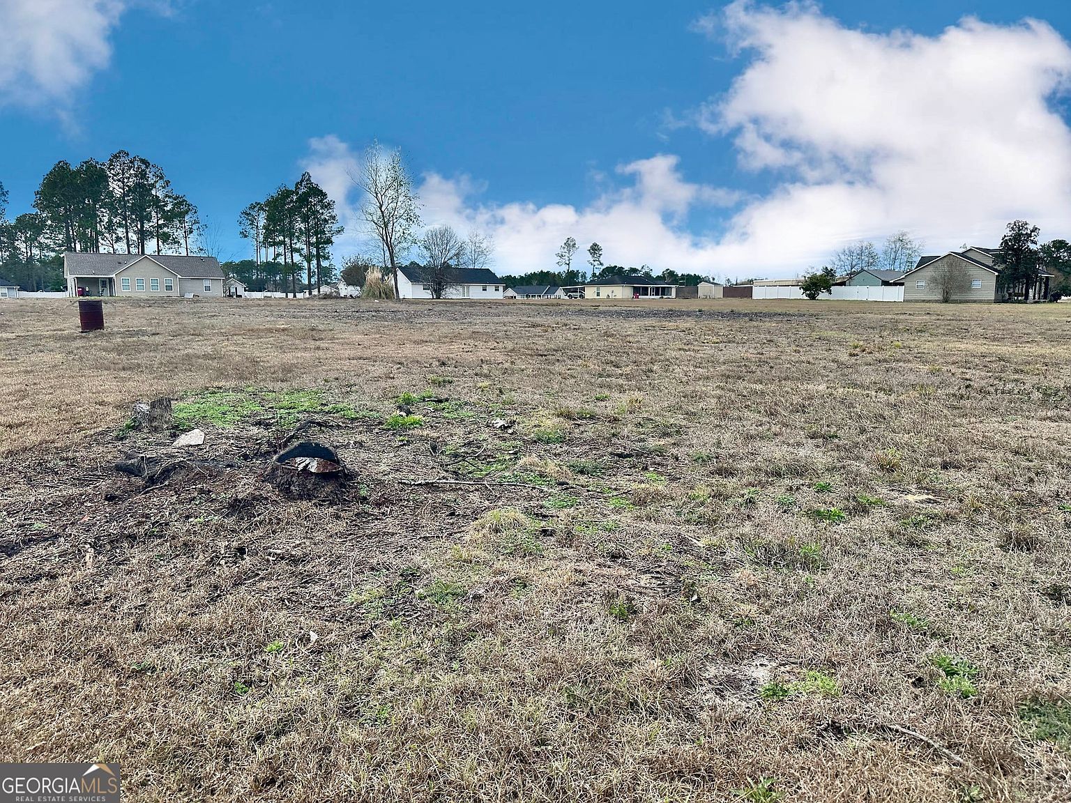 0 Southside Dr Blackshear, GA 31516 - Thumbnail 3