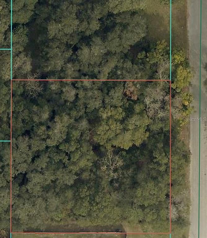 SE 94th Ct Lot 32 Summerfield, FL 34491 - Thumbnail 3