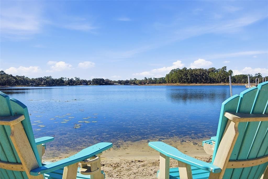 10550 NE 222nd Place Rd Fort Mc Coy, FL 32134 - Thumbnail 3