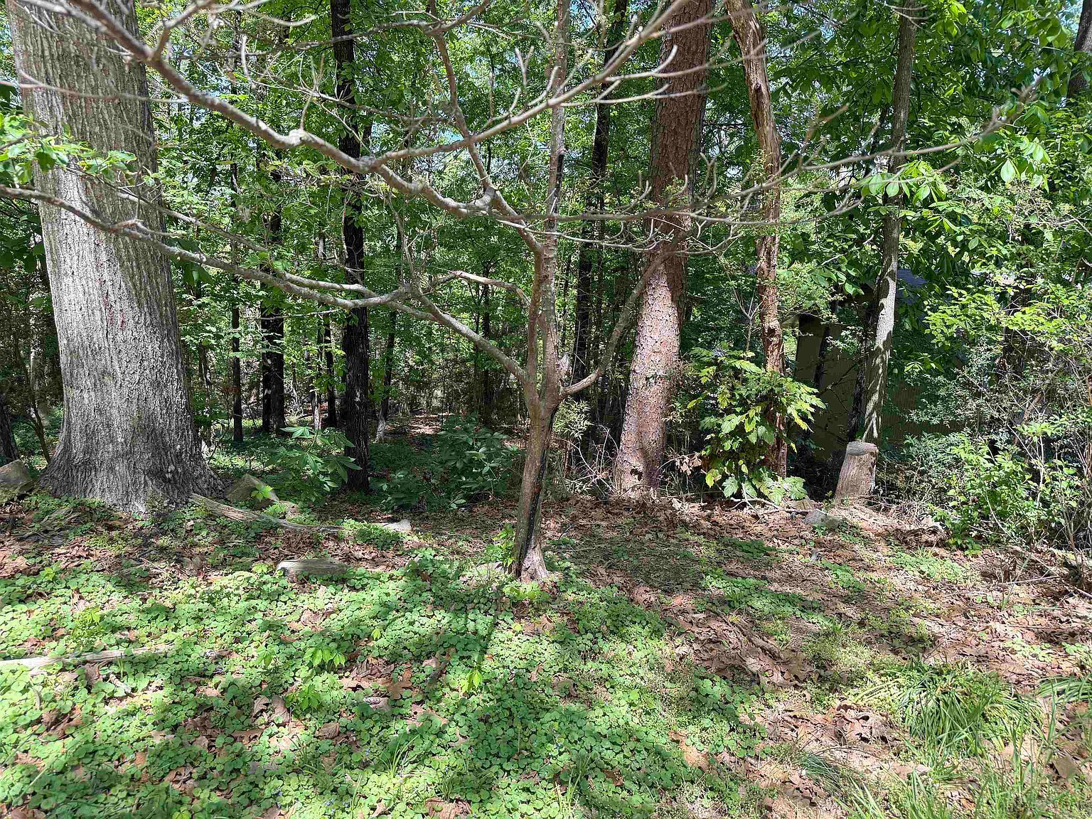 0 Foxhunt Trl Little Rock, AR 72227 - Thumbnail 3