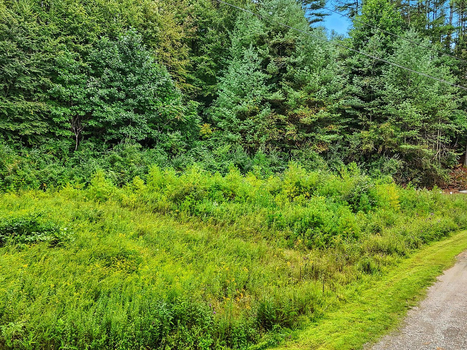 Whispering Pine Way Mountain City, TN 37683 - Thumbnail 3