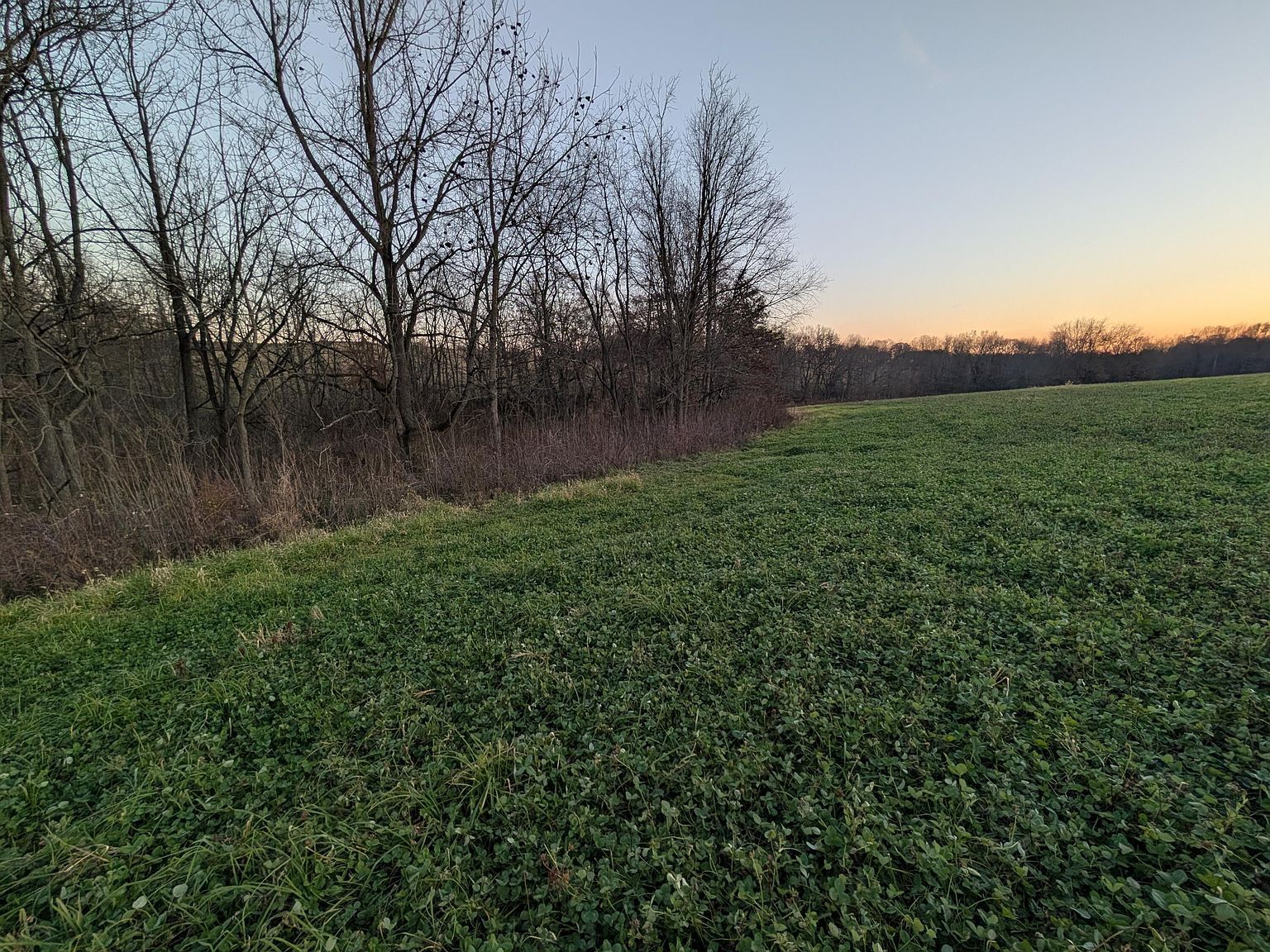 0 Township Road 80 Warsaw, OH 43844 - Thumbnail 3