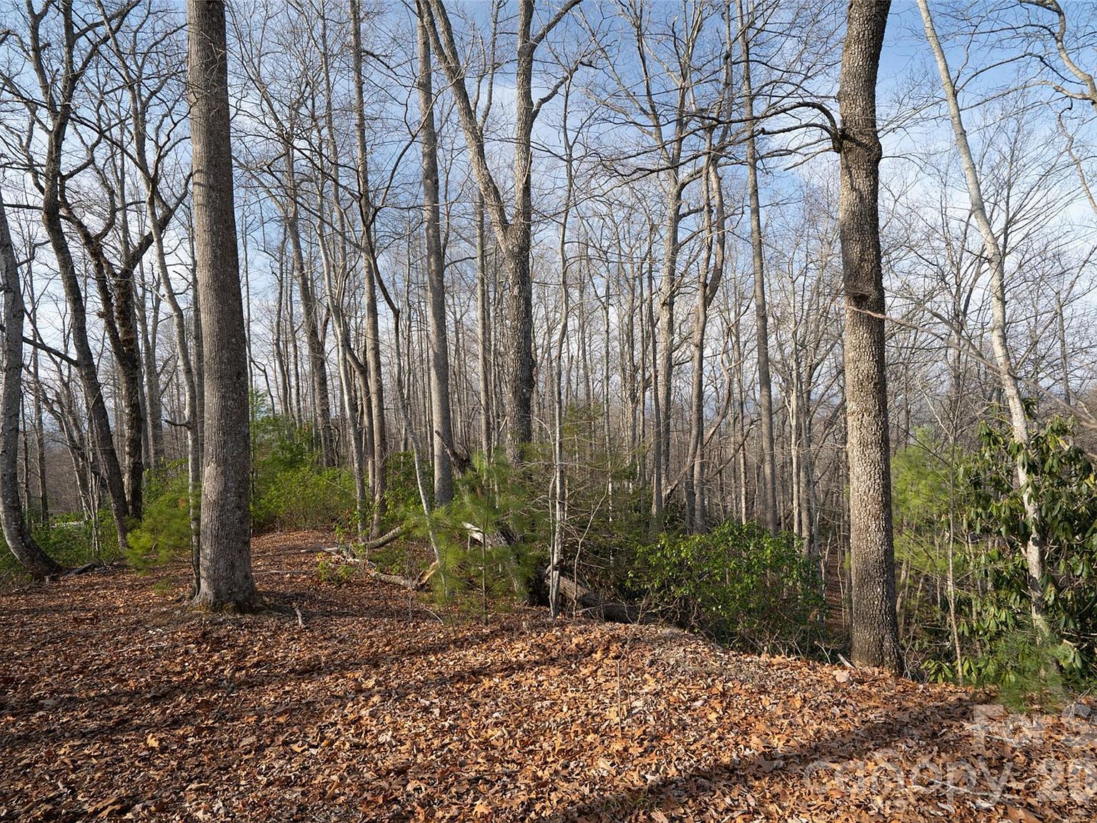 29 Open Ridge Trl Pisgah Forest, NC 28768 - Thumbnail 3