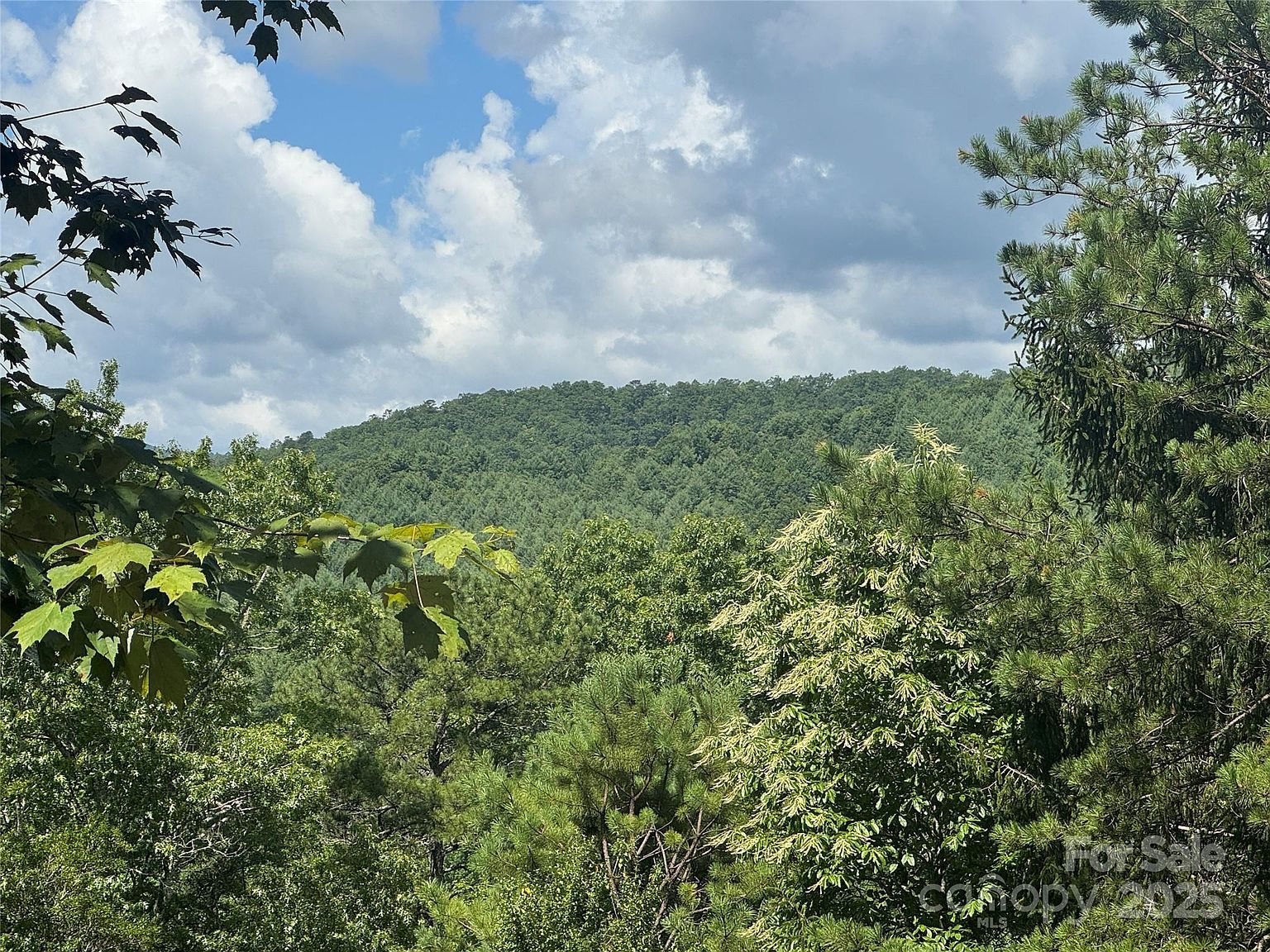 999 Ivy Ln Pisgah Forest, NC 28768 - Thumbnail 3