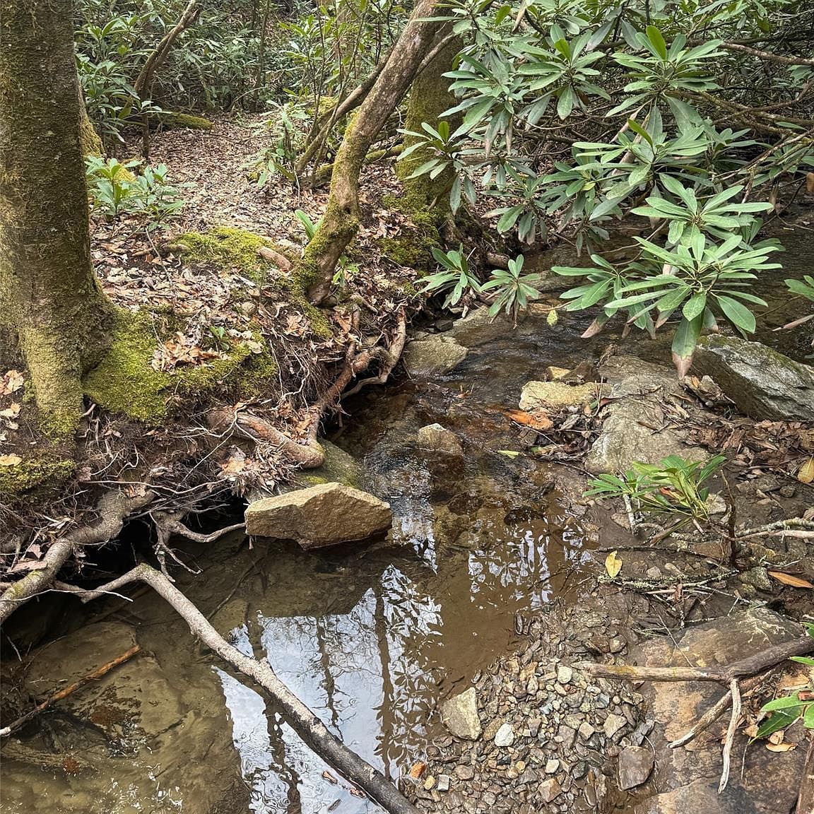 TRACT A Cherrywood Ln Pisgah Forest, NC 28768 - Thumbnail 3