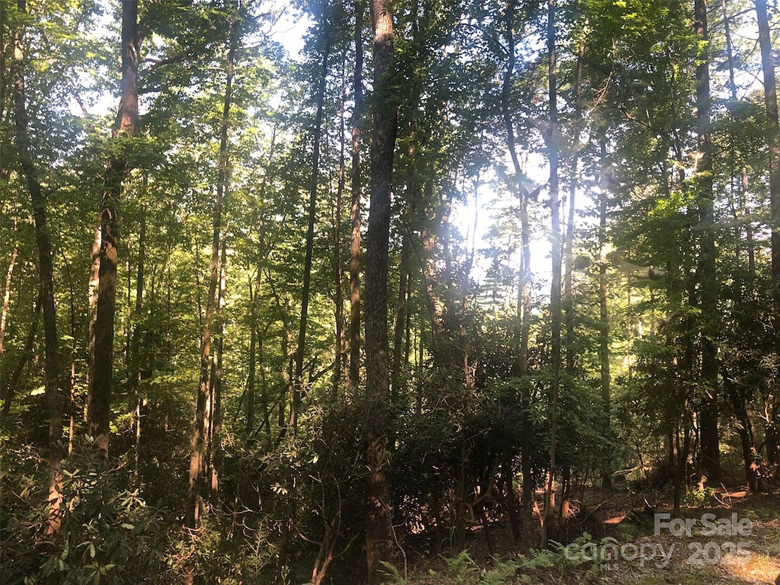 Peppervine Cir #94 Rosman, NC 28772 - Thumbnail 3