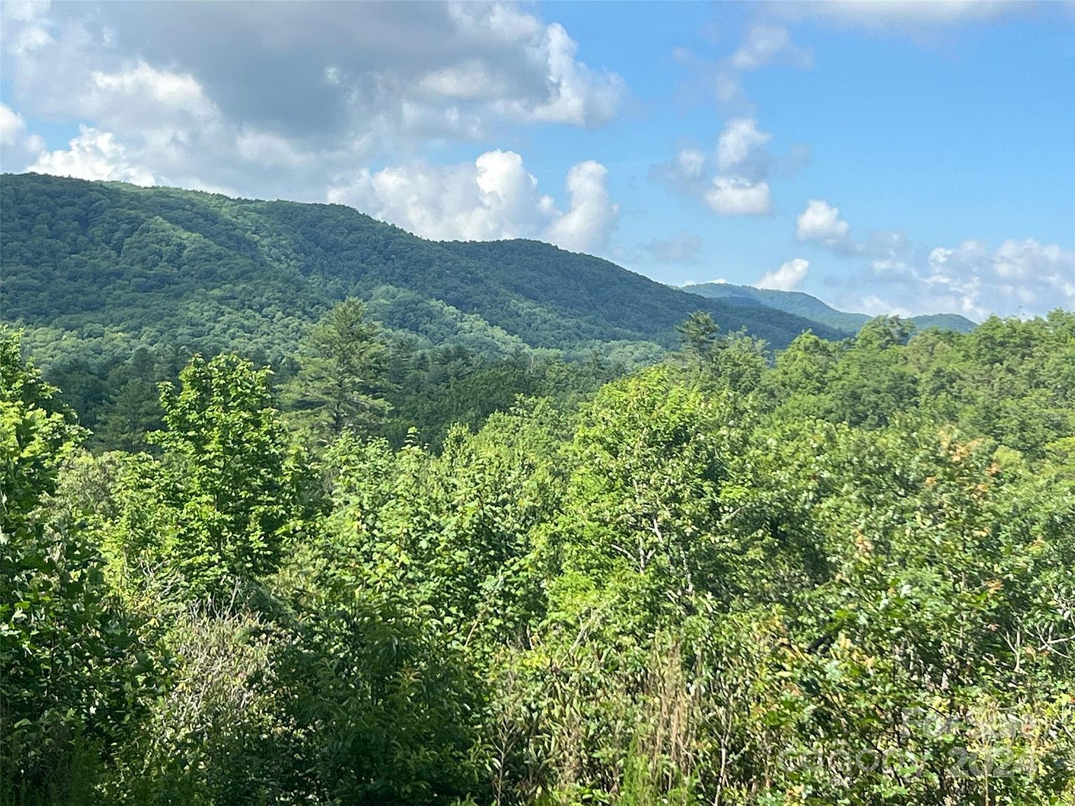 667 Laurel Thicket Brevard, NC 28712 - Thumbnail 3