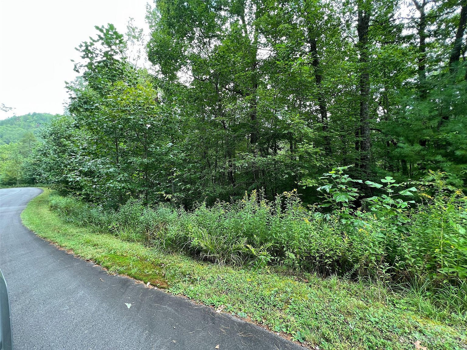 103 Laurel Thicket Brevard, NC 28712 - Thumbnail 3