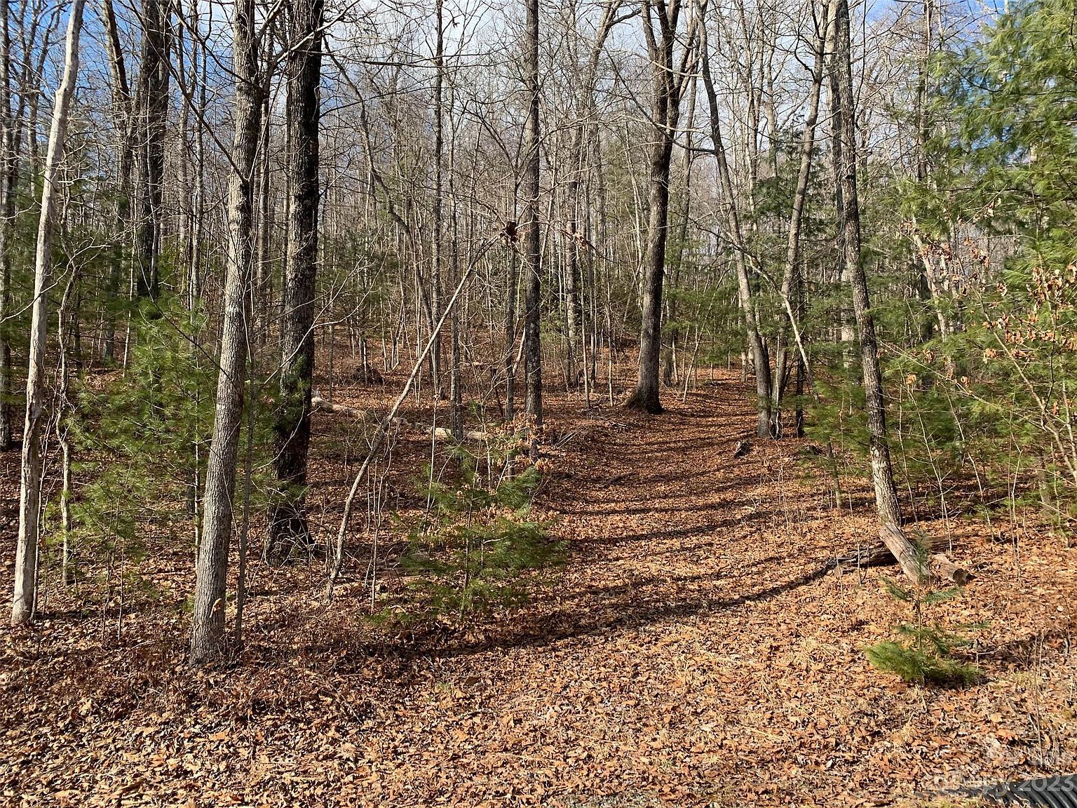 91 Laurel Thicket Brevard, NC 28712 - Thumbnail 3