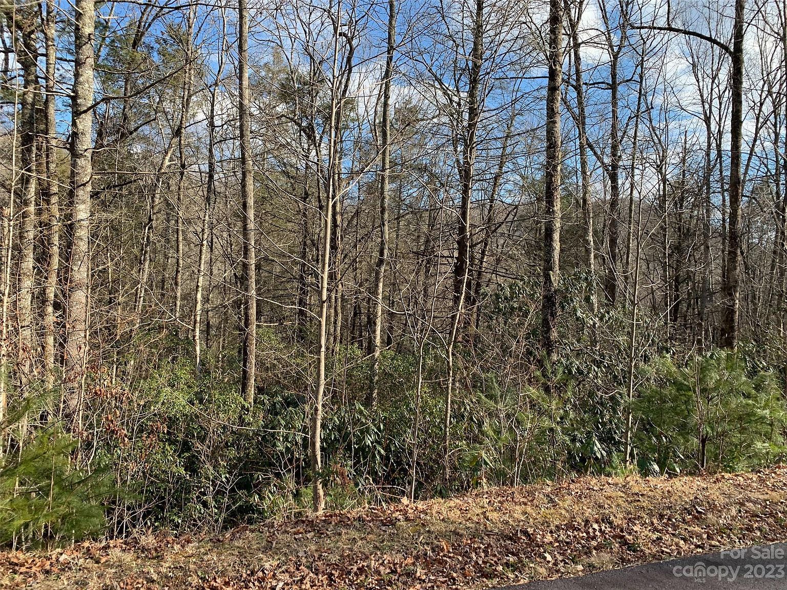 126 Green Hollow Ln Brevard, NC 28712 - Thumbnail 3