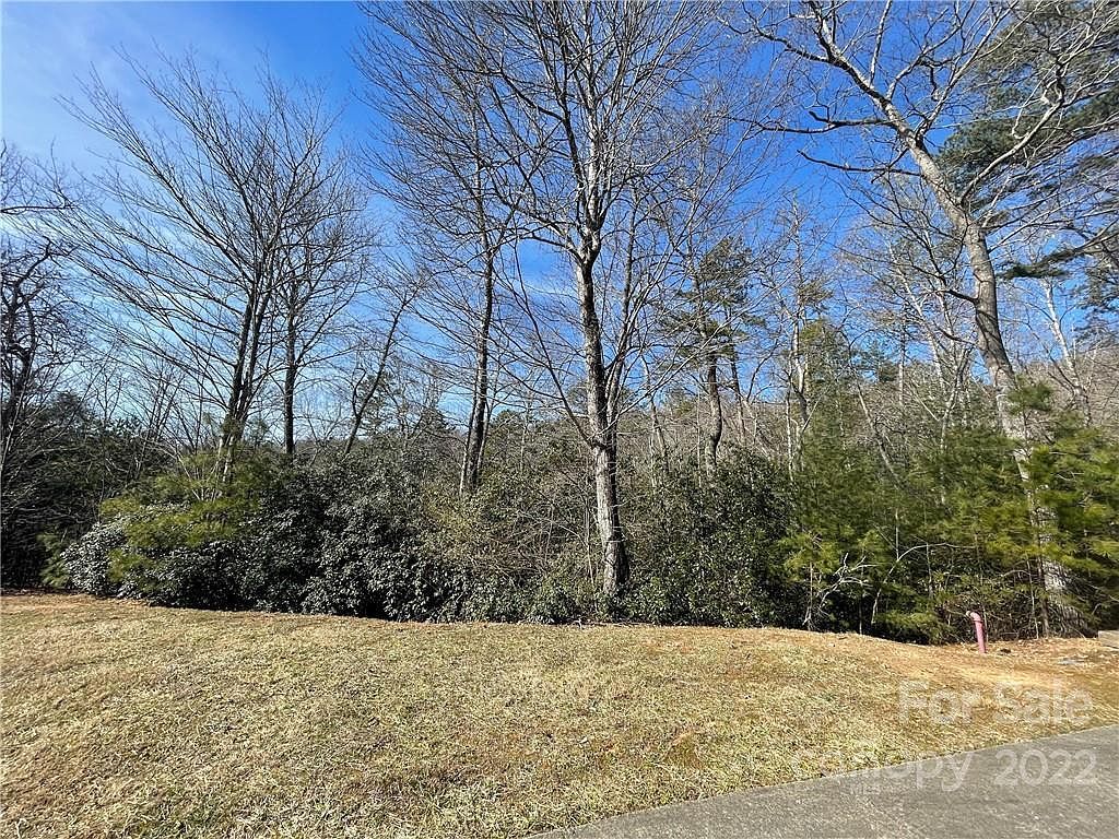 Sh11 Springhouse Trl Brevard, NC 28712 - Thumbnail 3