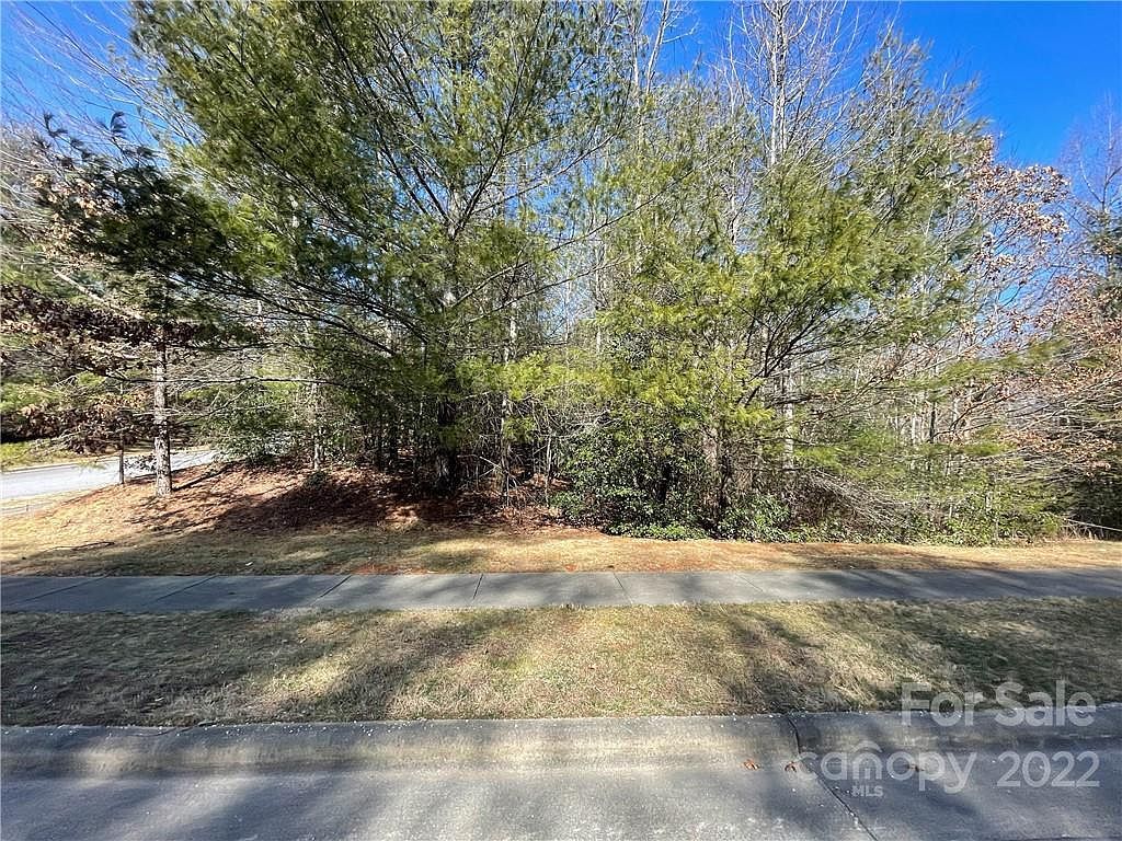 V30 Blueberry Hill Rd Brevard, NC 28712 - Thumbnail 3