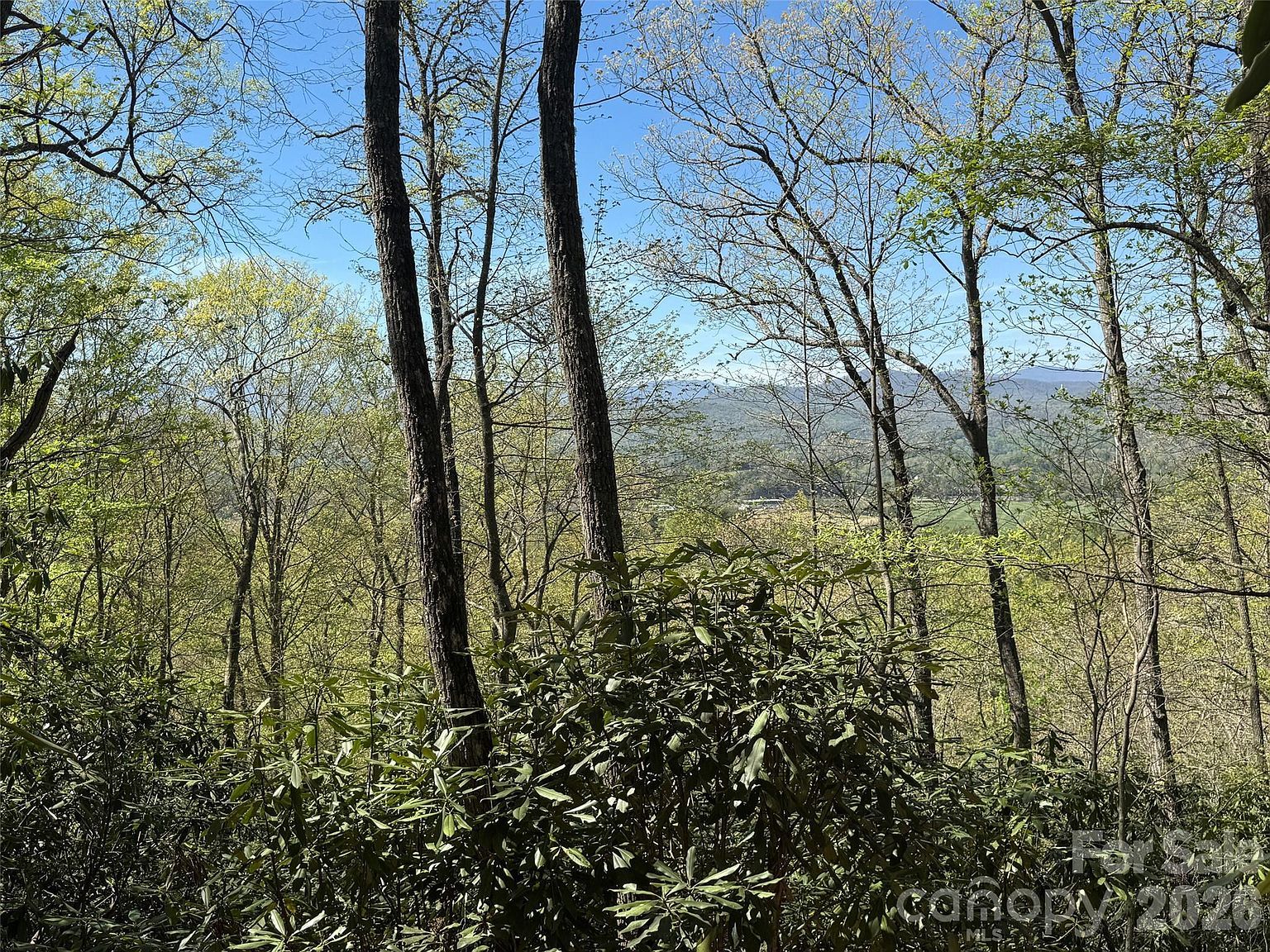 33 Reserve Rd #33 Pisgah Forest, NC 28768 - Thumbnail 3