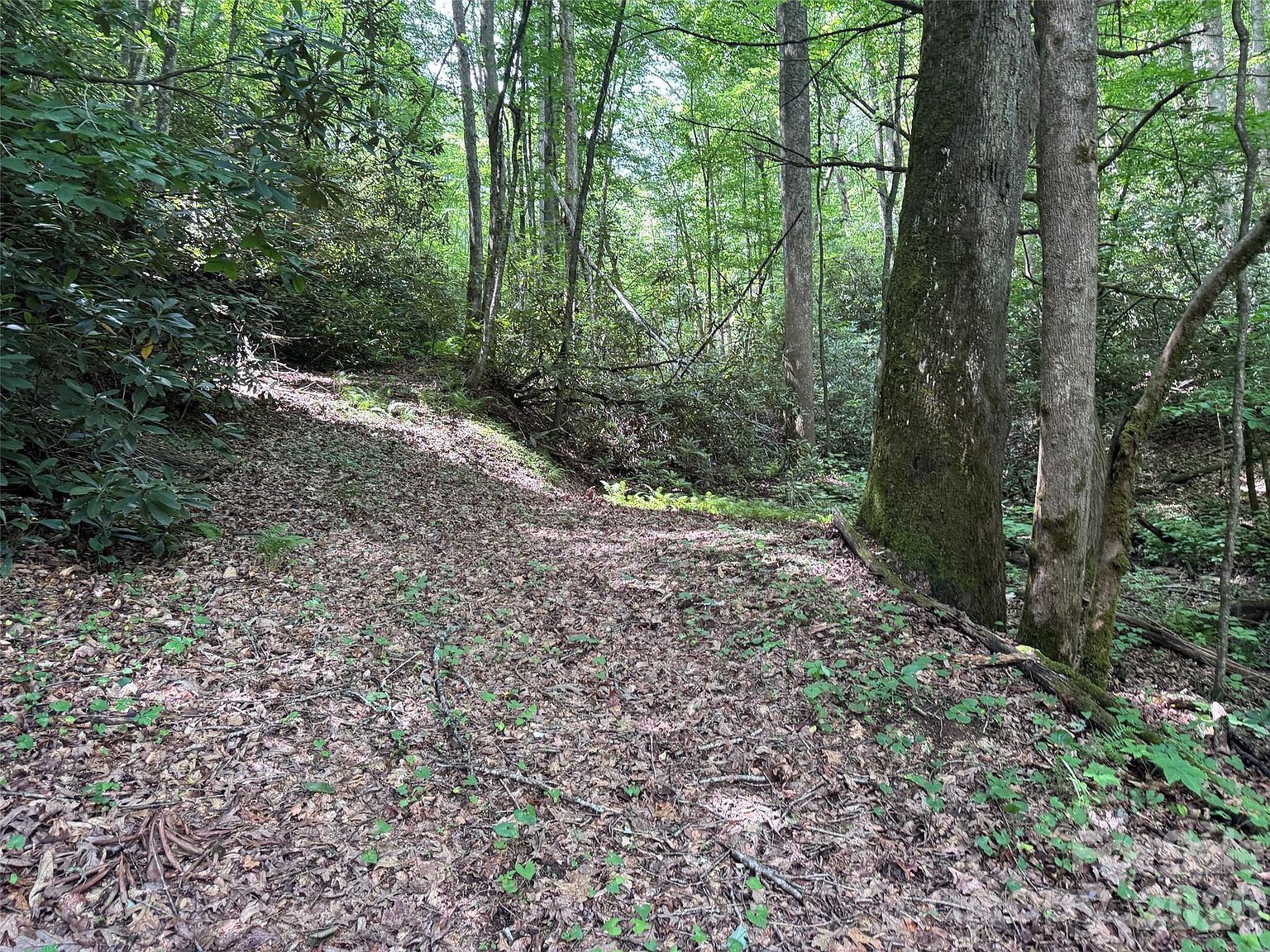 10A Reserve Rd Pisgah Forest, NC 28768 - Thumbnail 3