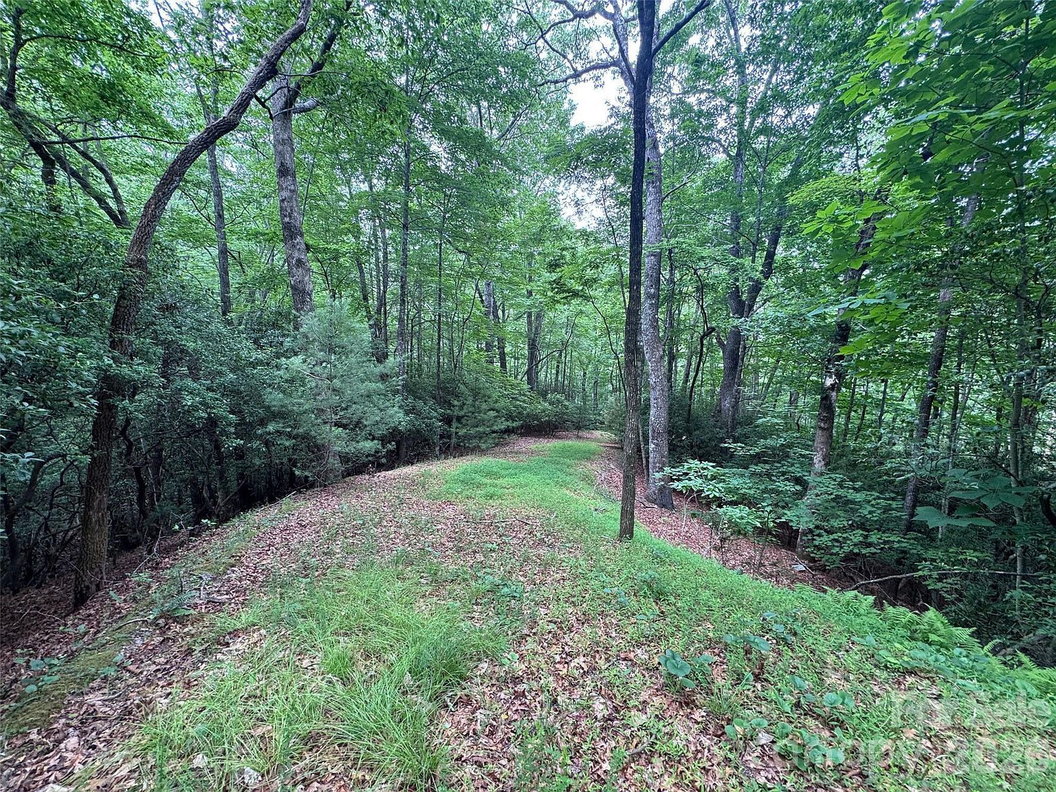 0 Chestnut Oak Ln Pisgah Forest, NC 28768 - Thumbnail 3