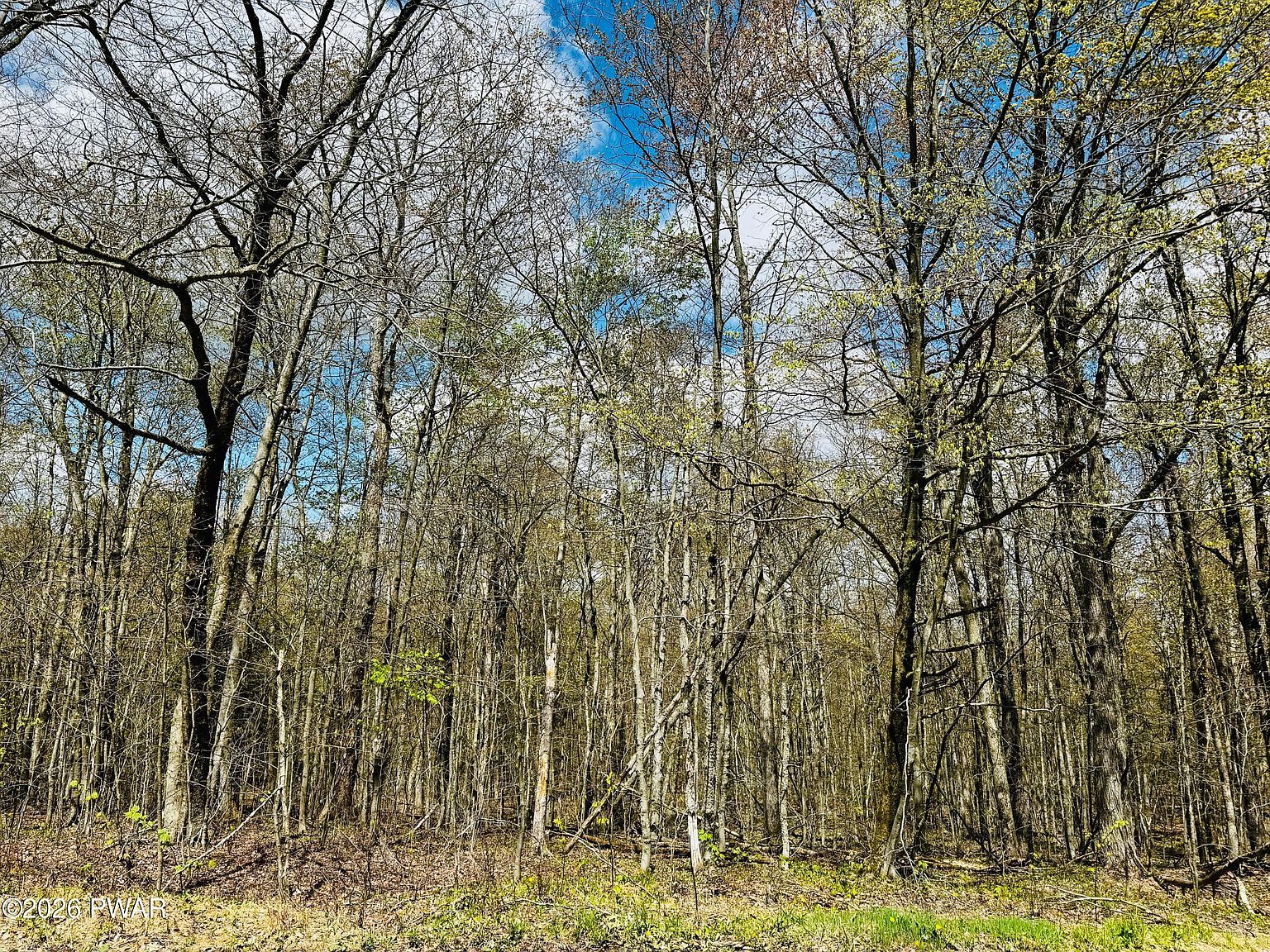 Pleasant Mount Dr Forest City, PA 18421 - Thumbnail 3