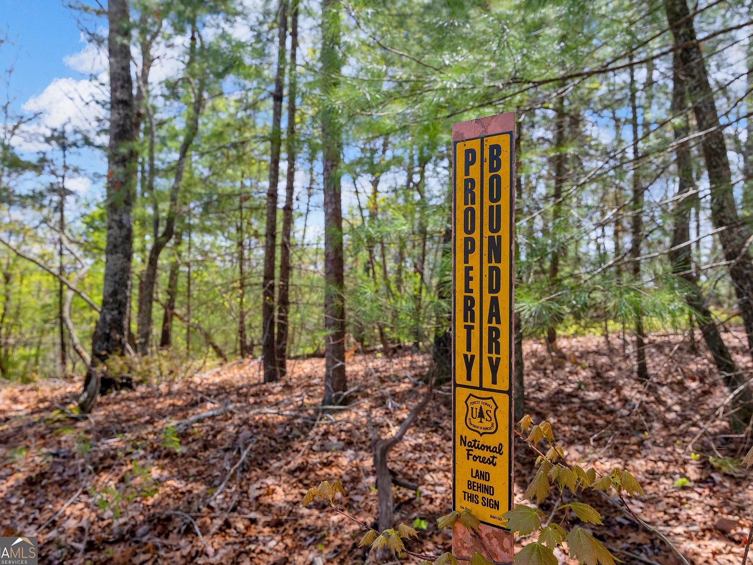 108 Dodge Ln Lakemont, GA 30552 - Thumbnail 3