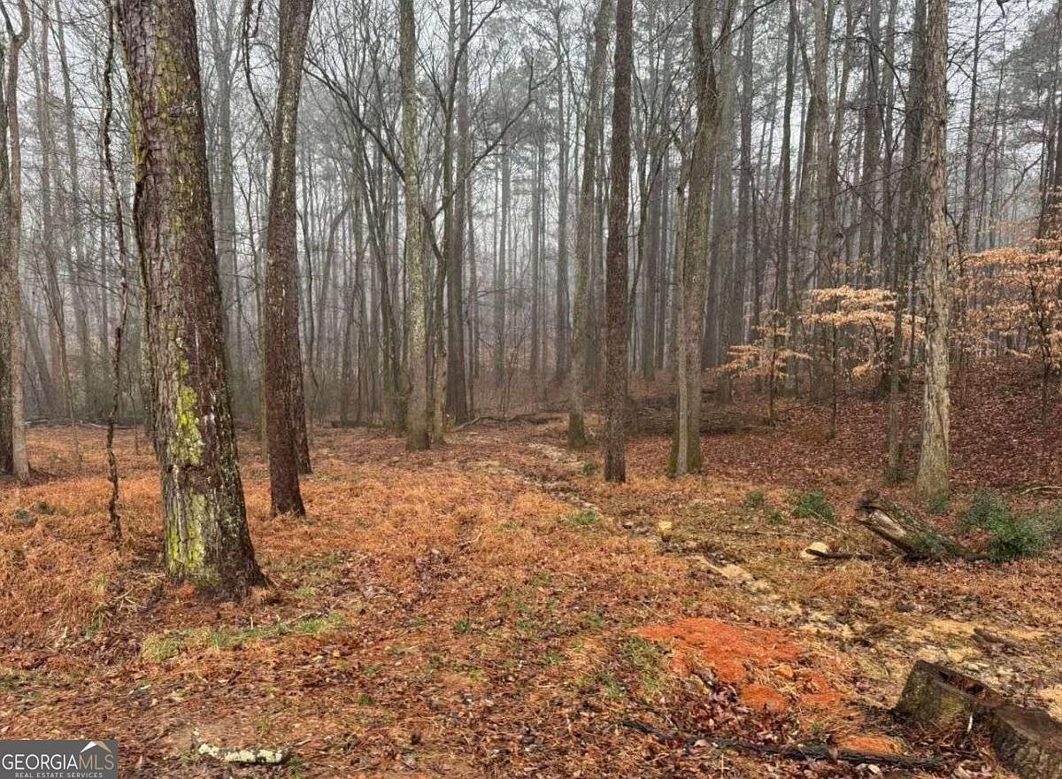 138 Oak Beach Dr Acworth, GA 30101 - Thumbnail 3