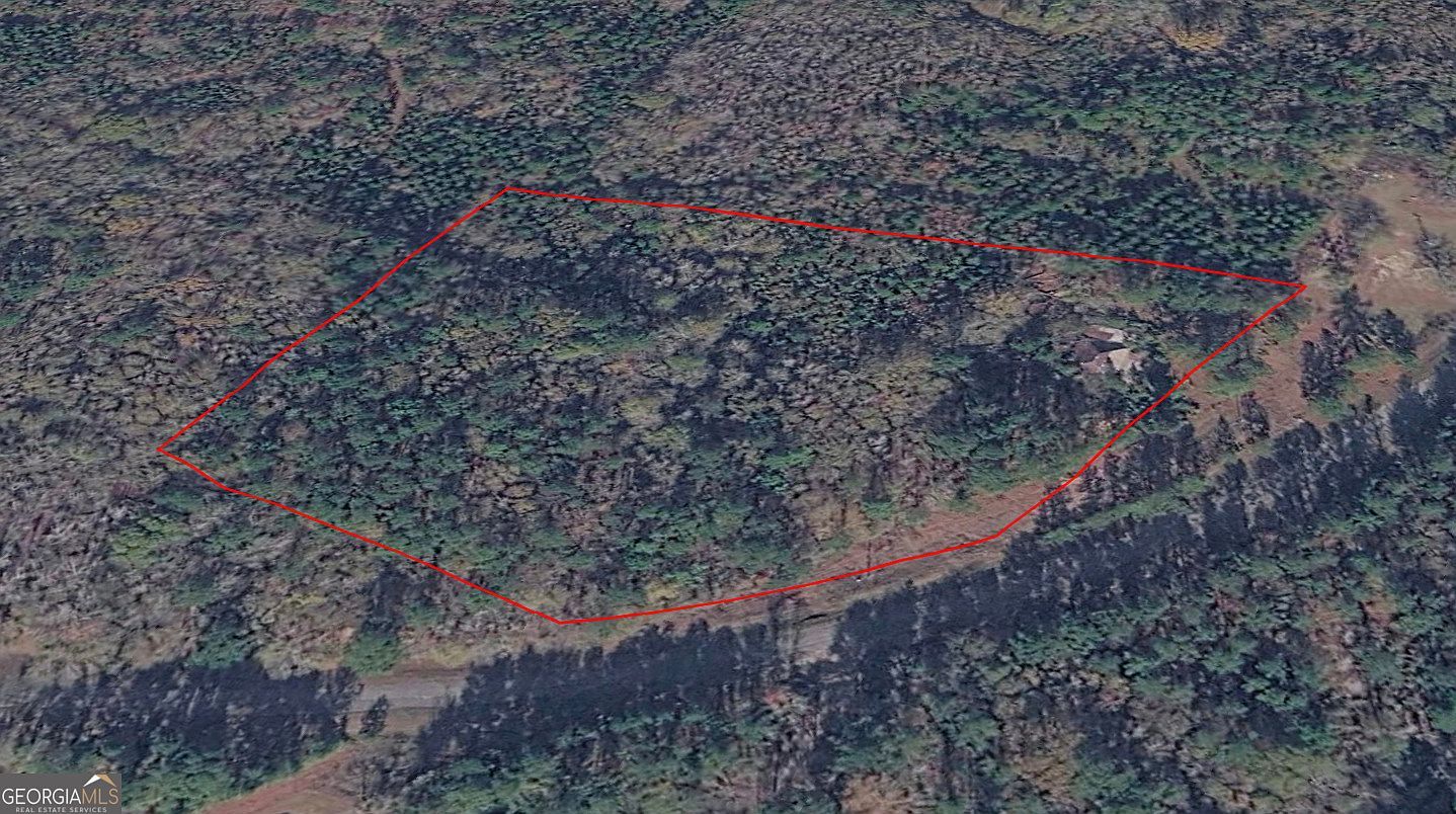 0 Wadley Coleman Lake Rd Midville, GA 30441 - Thumbnail 3