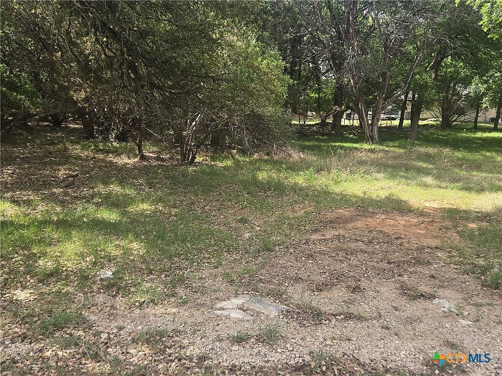 6 Hackberry Ct Morgans Pt Resort, TX 76513 - Thumbnail 3