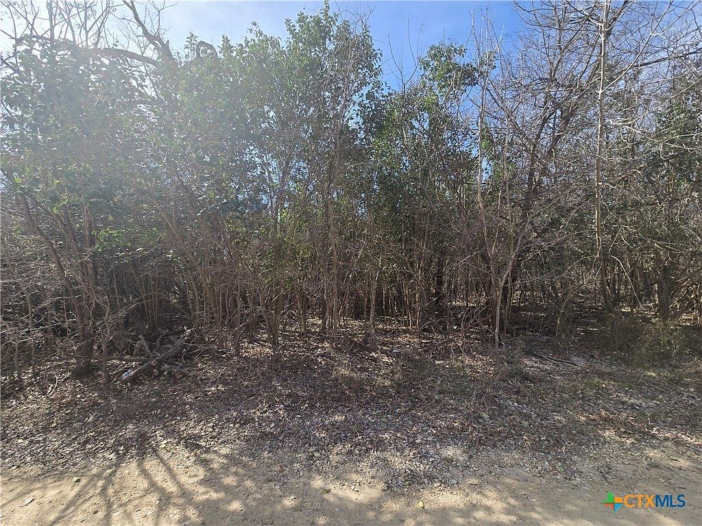 Estate Trl Belton, TX 76513 - Thumbnail 3