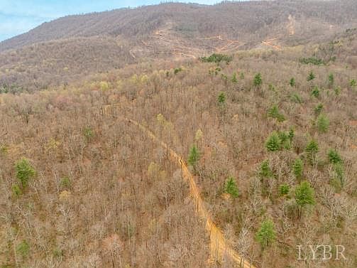 0 Adventure Mountain Rd Montvale, VA 24122 - Thumbnail 3
