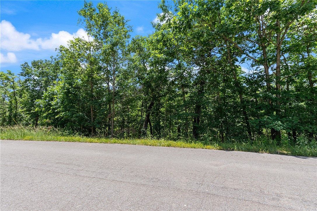 Kirkcolm Cir #6 Bella Vista, AR 72715 - Thumbnail 3