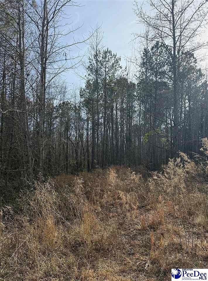 364 Longhorn Ln Cheraw, SC 29520 | Land/Lot