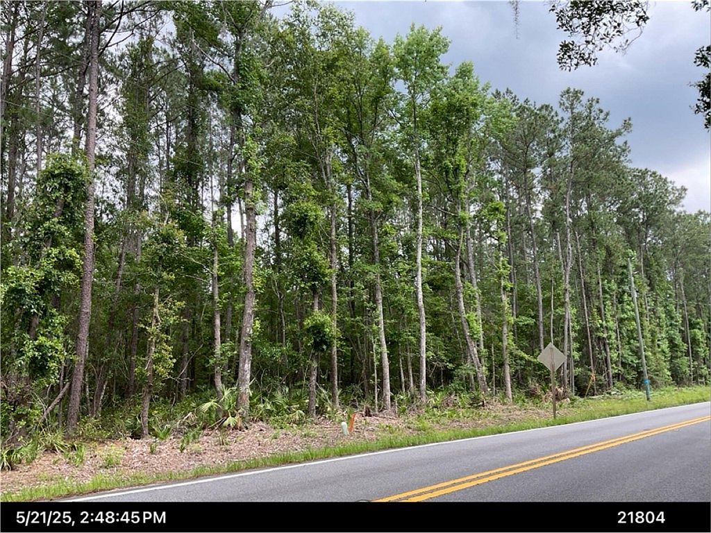 0 Dover Bluff Rd Waverly, GA 31565 - Thumbnail 3