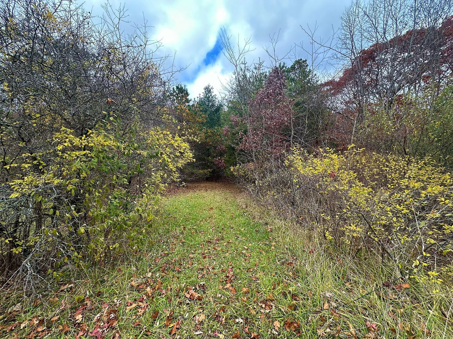 Moncove Lake Rd Gap Mills, WV 24941 - Thumbnail 3