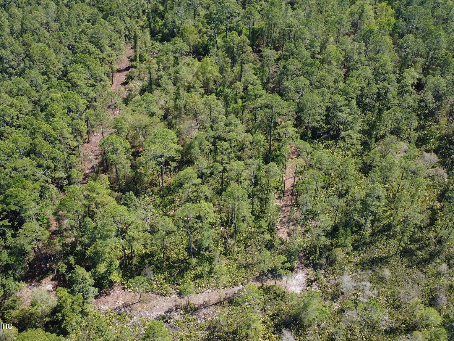 113 Seminole Pl Satsuma, FL 32189 - Thumbnail 3