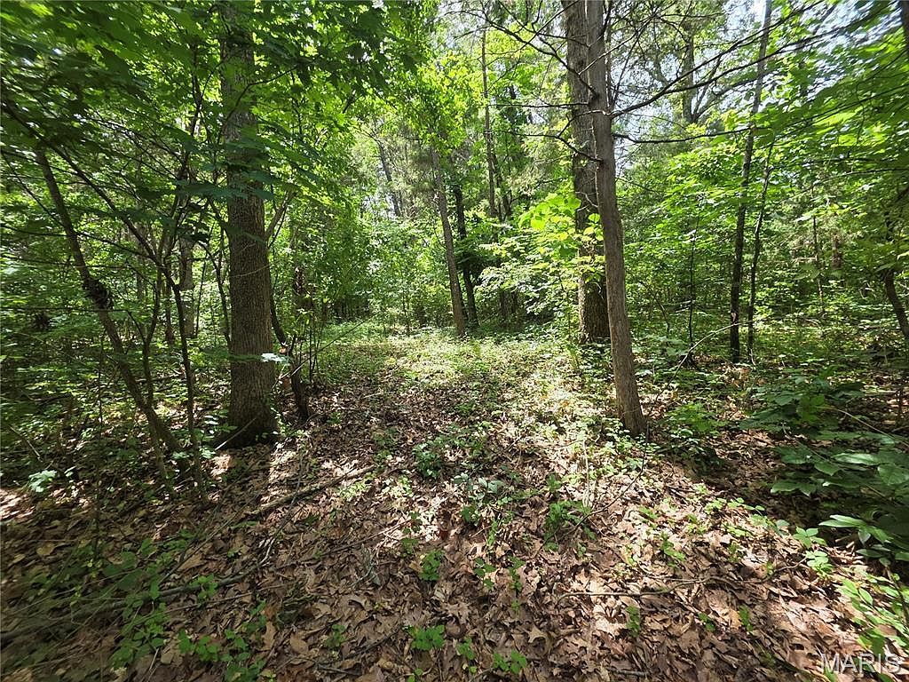 0 S Lakeshore Dr Hillsboro, MO 63050 - Thumbnail 3