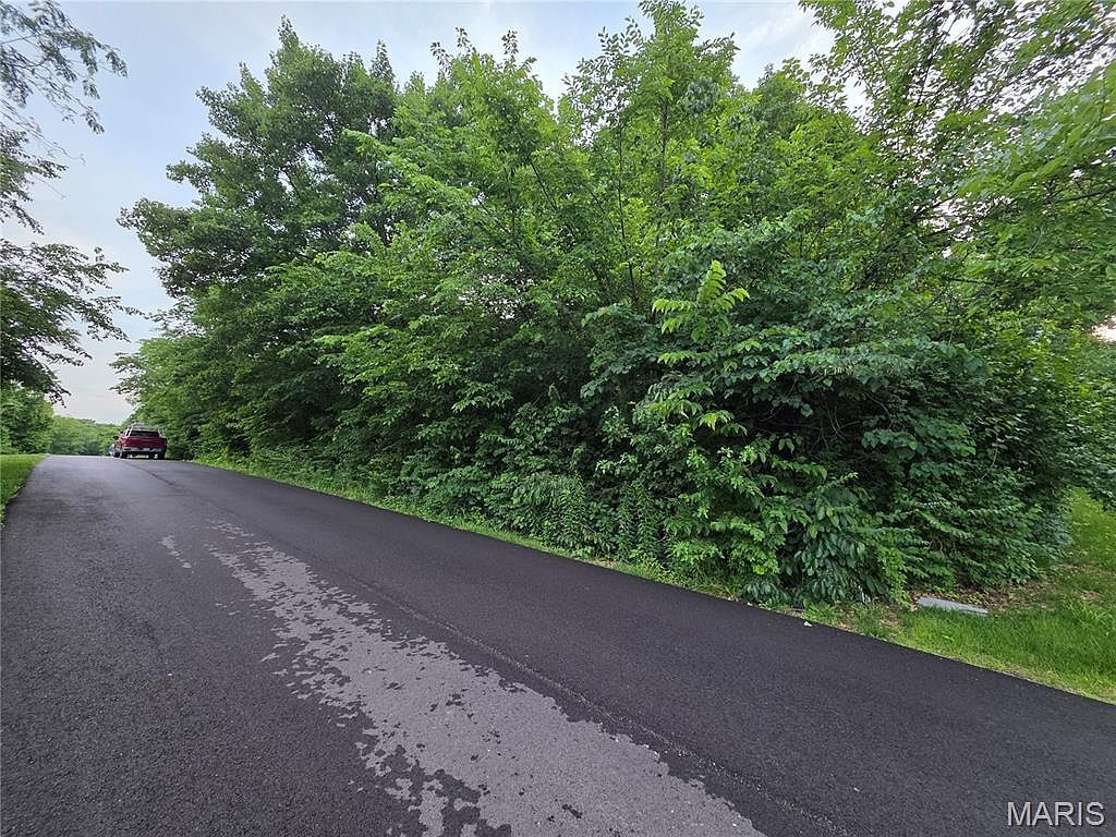0 W Lakeview Dr De Soto, MO 63020 - Thumbnail 3