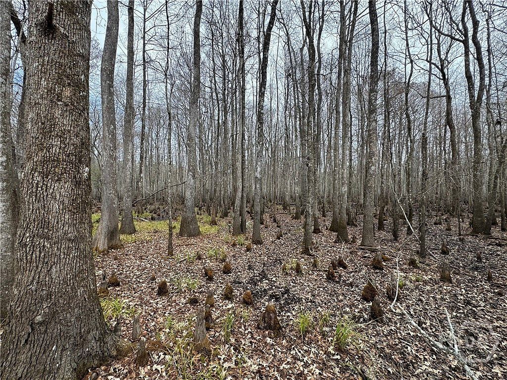 0 Old Highway 204 Bloomingdale, GA 31302 - Thumbnail 3