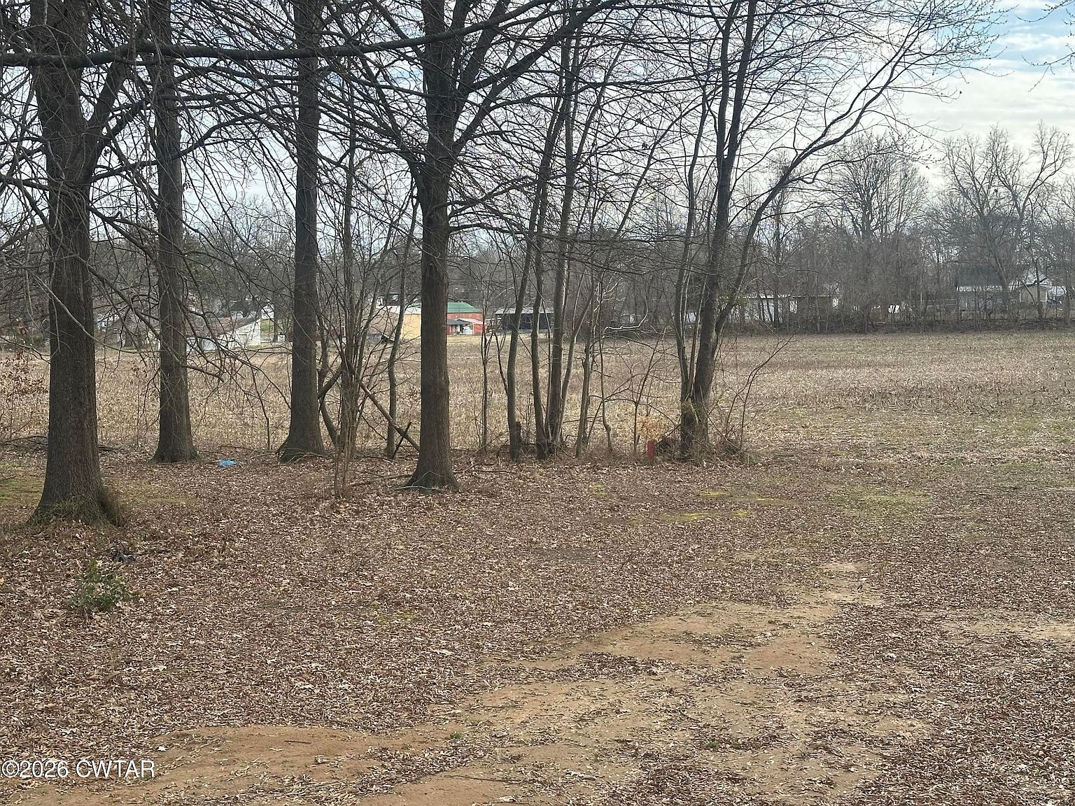 0 College St Kenton, TN 38233 - Thumbnail 3