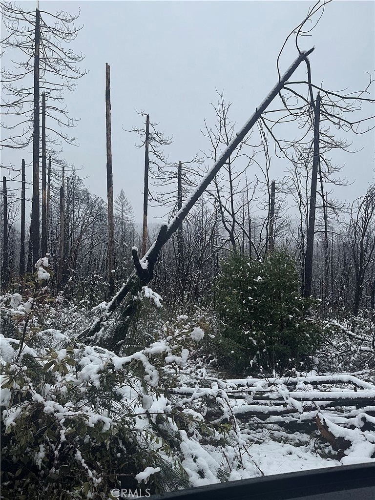 111 Seminole Dr Berry Creek, CA 95916 - Thumbnail 3