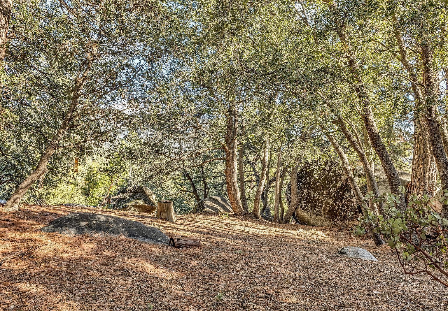 Jeffery Pine Rd Idyllwild, CA 92549 - Thumbnail 3