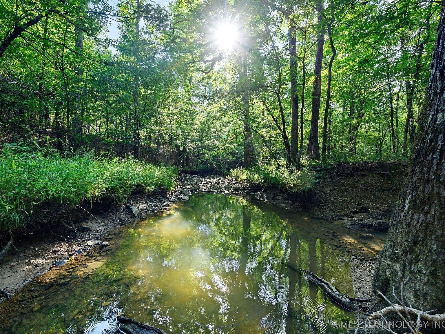 66 Aged Acacia Trl Broken Bow, OK 74728 - Thumbnail 3