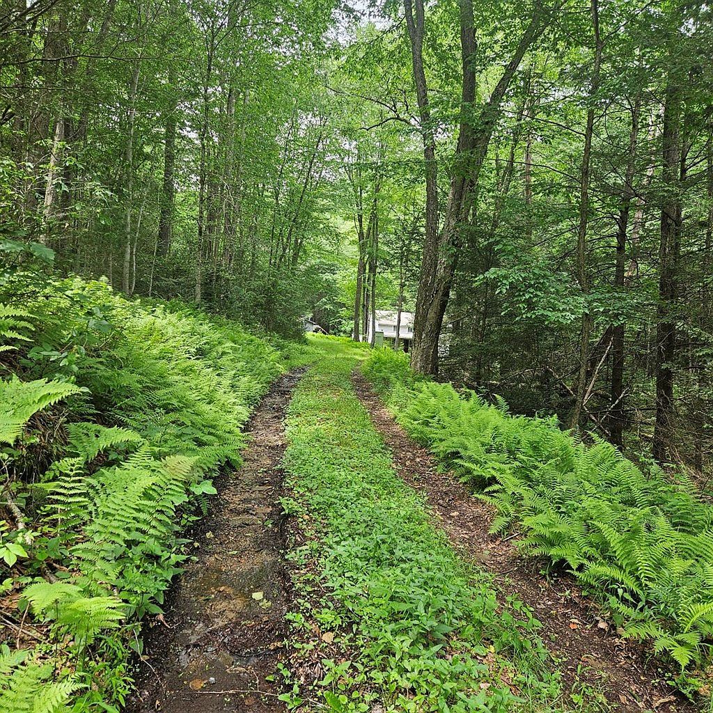 1992 Beaverdam Rd Renovo, PA 17764 - Thumbnail 3