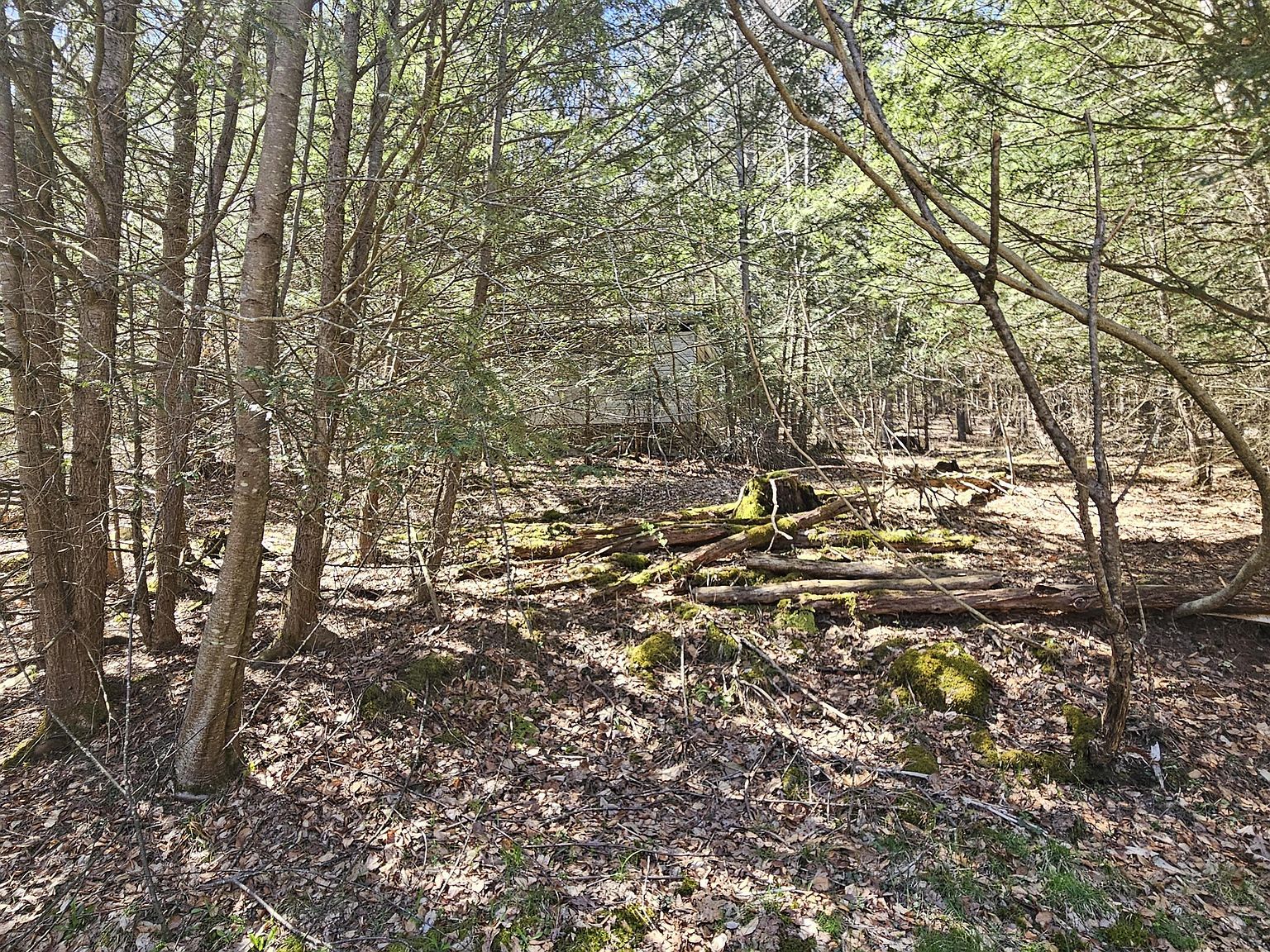 4 First Fork Rd Sinnamahoning, PA 15861 - Thumbnail 3