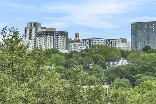 1406 Windsor Rd APT 305 Austin, TX 78703 - Thumbnail 3