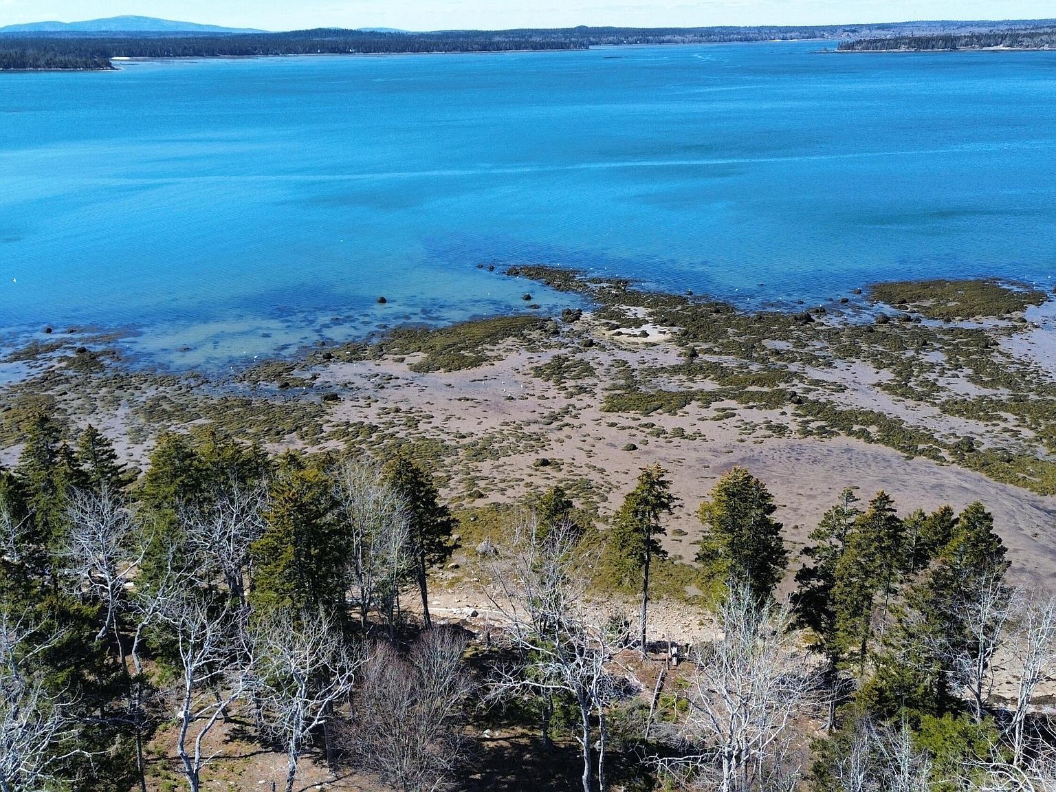 216 N Estates Rd Steuben, ME 04680 - Thumbnail 3