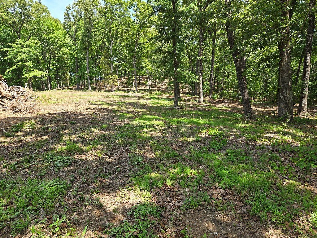 730 Swan Bay Dr Buchanan, TN 38222 - Thumbnail 3