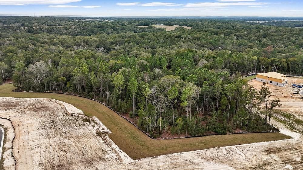 4683 Hilly Heights Dr Lot 2 Mount Dora, FL 32757 - Thumbnail 3